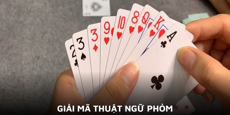 Phỏm Và Những Kiến Thức Cần Thiết Cho Tân Thủ - Wixon