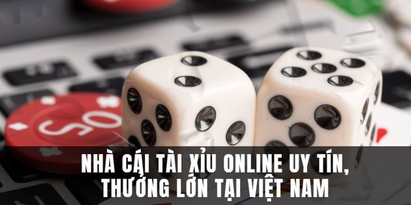 App tài xỉu 8US chất lượng, đáng trải nghiệm nhất 2026 - Wixon