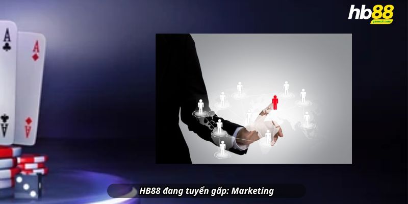 Tuyển Dụng HB88 - Tương Lai Cùng Tập Đoàn Giải Trí Hàng Đầu - Wixon