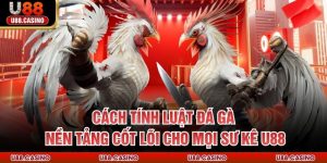 Tin Tức U888 ⭐ Bí Quyết & Chiến Thuật Cá Cược Đỉnh Cao 2026 - Wixon