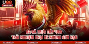 Tin Tức U888 ⭐ Bí Quyết & Chiến Thuật Cá Cược Đỉnh Cao 2026 - Wixon